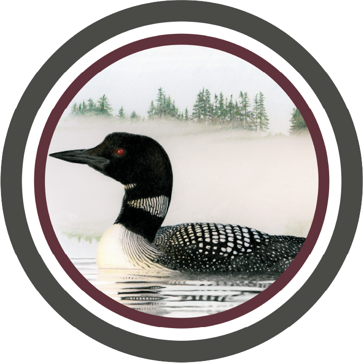 raquette lake school logo